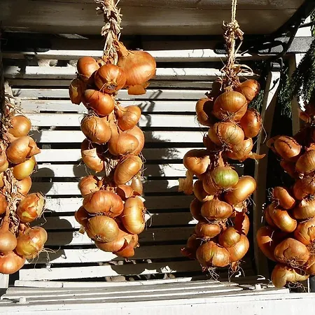 Farma Solimago Dimora Storica Solferino