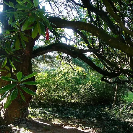 Farma Solimago Dimora Storica