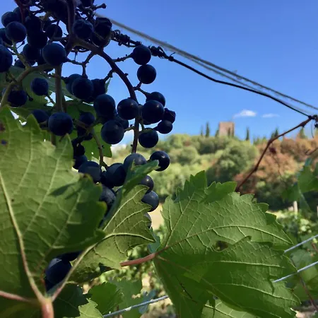 Solimago Dimora Storica Solferino