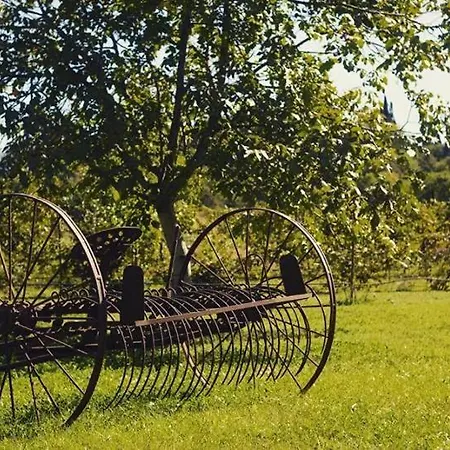 Séjour à la ferme Solimago Dimora Storica *